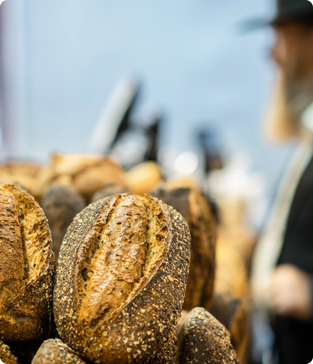 A transatlantic partnership