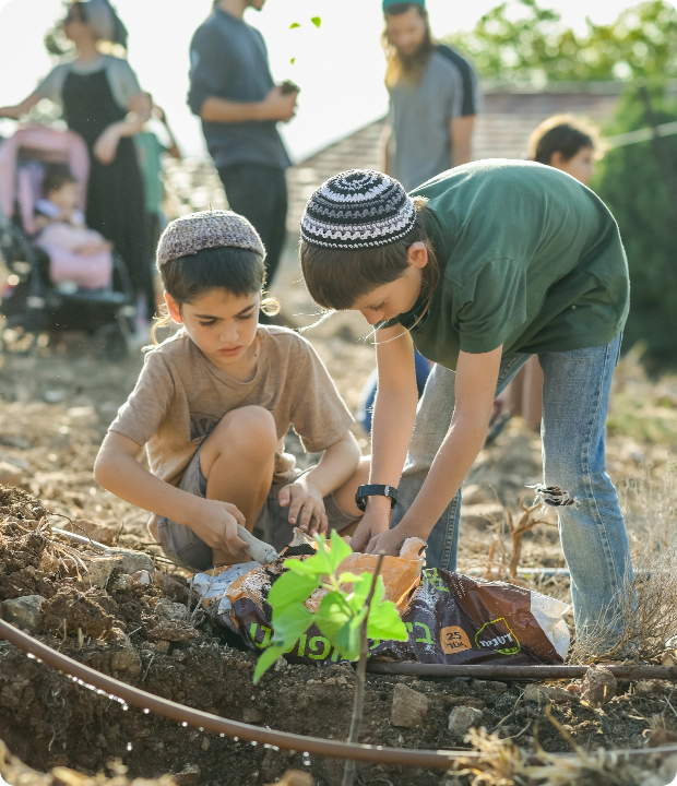 A transatlantic partnership